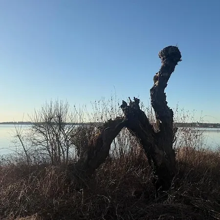 Апартаменты Am Chiemsee Naehe Arlaching Ising Seebruck *