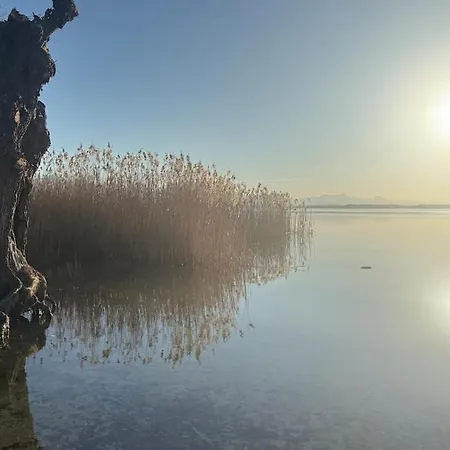 Daire Am Chiemsee Naehe Arlaching Ising Seebruck Chieming